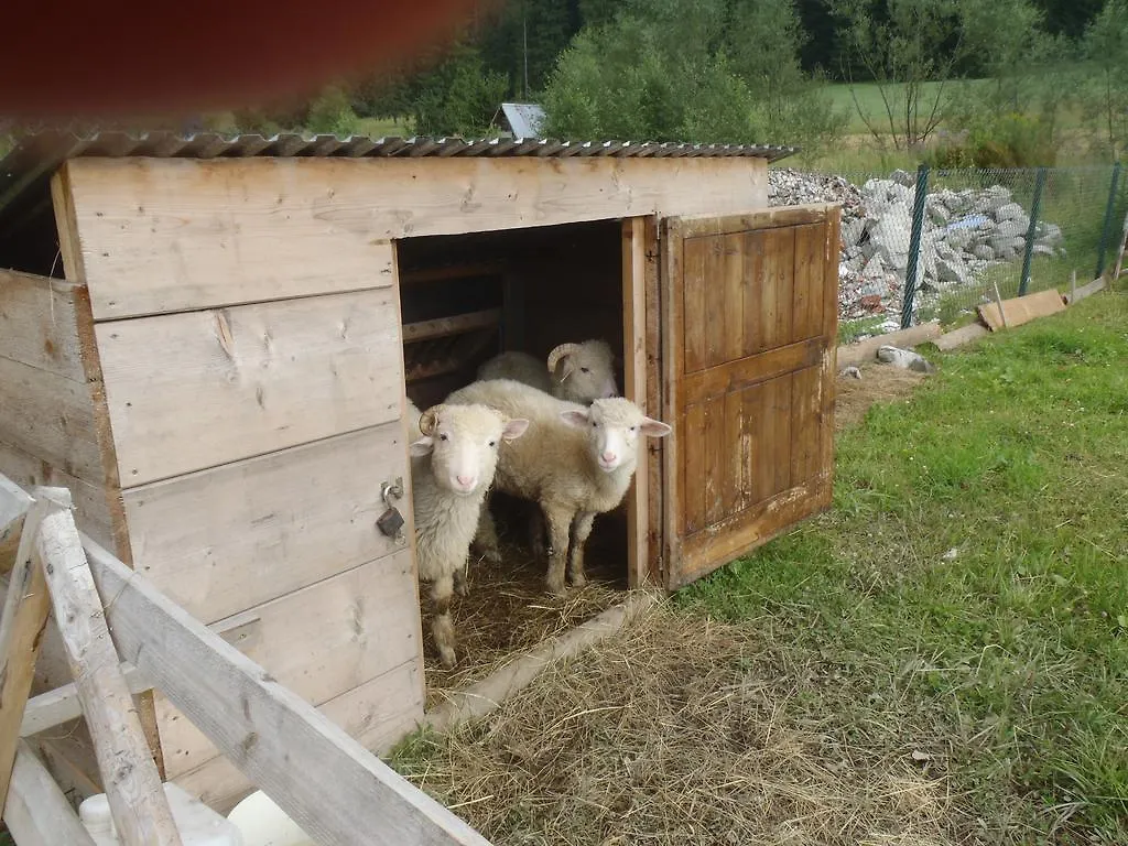 Homestay szállás Willa Na Potoku Zakopane Lengyelország